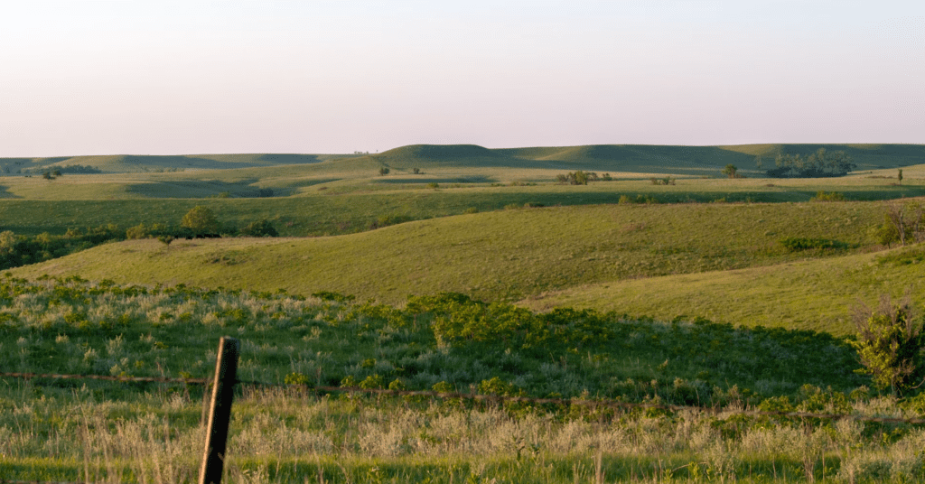 Calgary Acreages