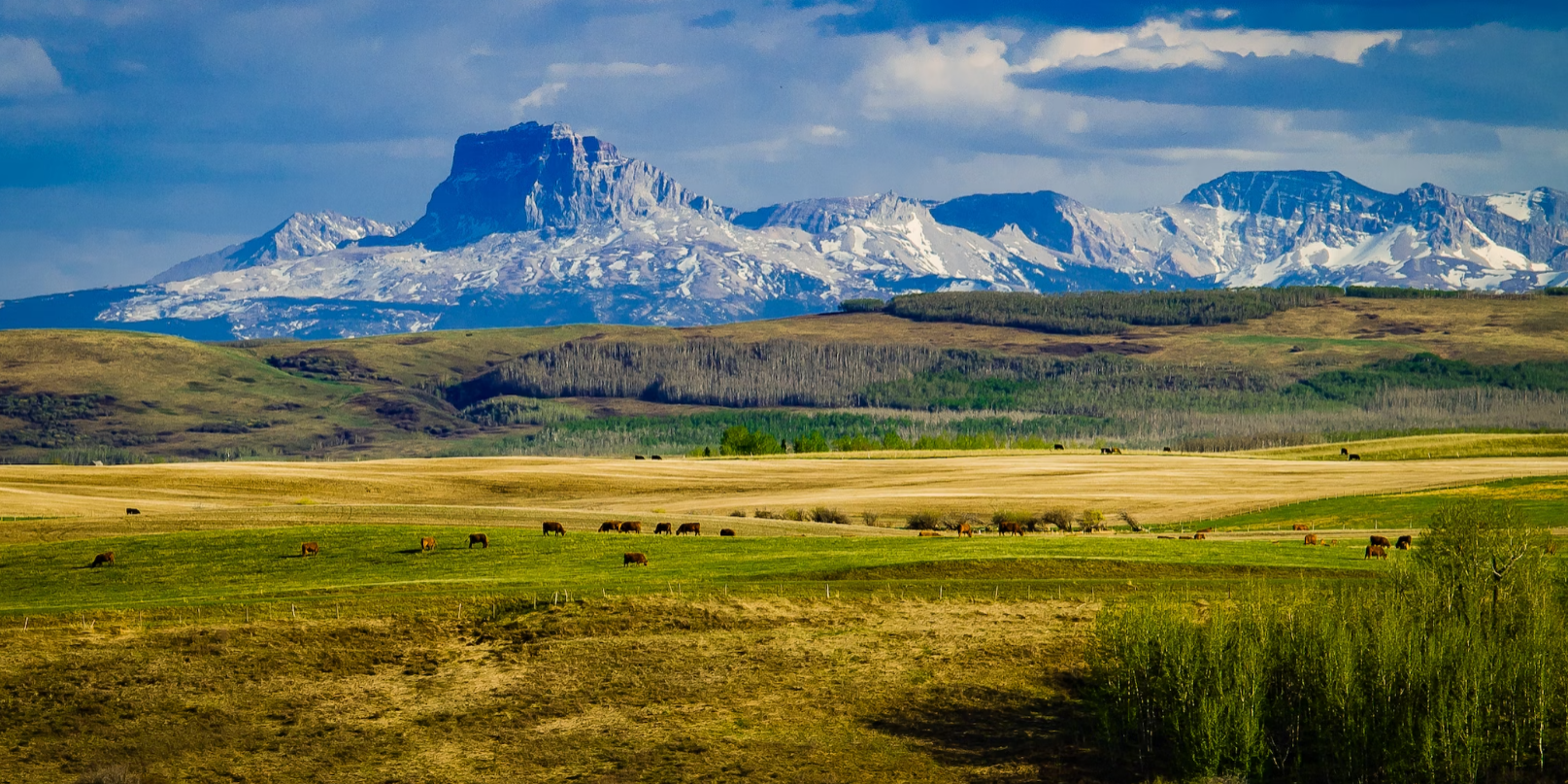 Unlocking the Beauty of Acreages for Sale Near Calgary and Surrounding Counties